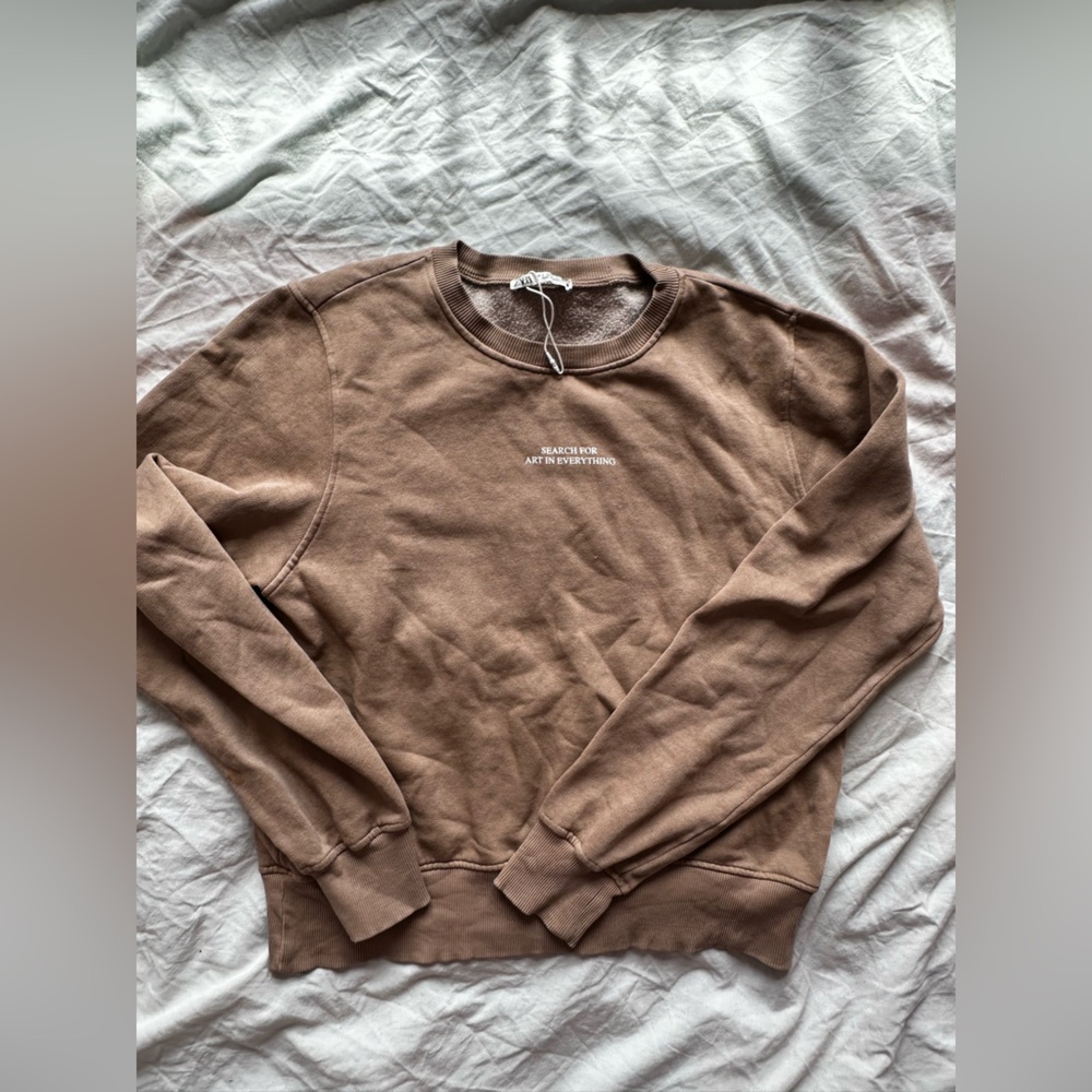 Zara Brown Oversized Sweatshirt Graphic Minimal Streetwear Pullover Sweater S - Picture 3 of 11